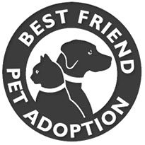 Best Friend Pet Adoptation