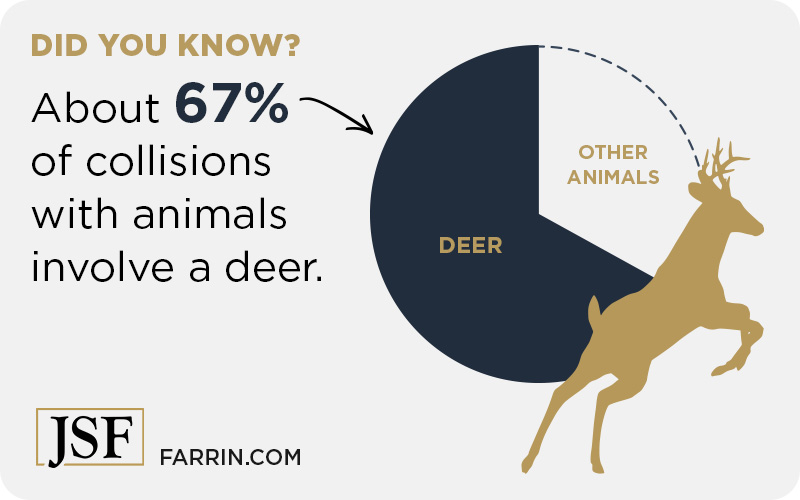 About 67 percent of animal related car crashes involve deer.