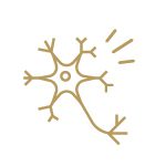 Gold icon of a human nerve cell.