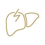 Gold icon of an injured liver.