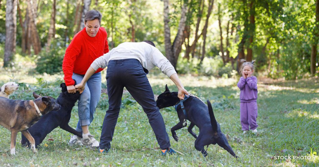 Law Offices of James Scott Farrin Greensboro NC dog bite attorneys. Two adults try to separate dogs fighting while child stands nearby reacting.